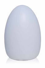 Load image into Gallery viewer, Outdoor LED Light up Egg Table Light- Rechargeable
